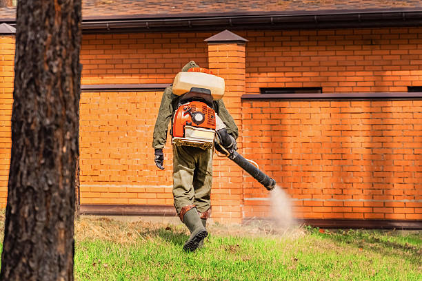 Bed Bug Clearance Verification and Documentation in India Hook